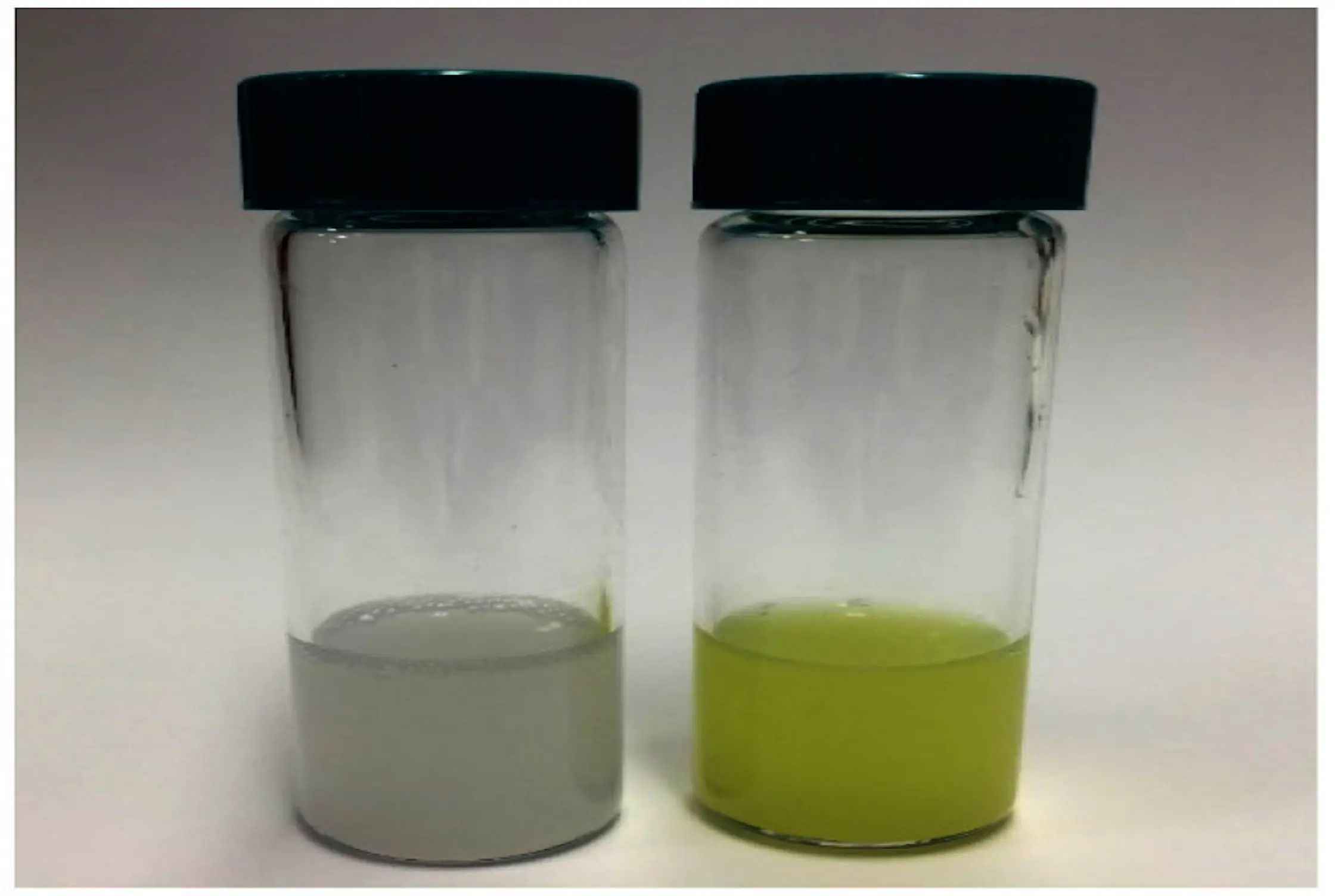 Comparison of liposomes before and after curcumin encapsulation, showing structural differences.